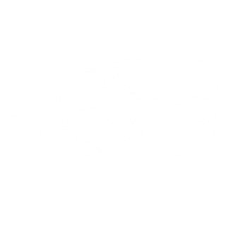 program icon